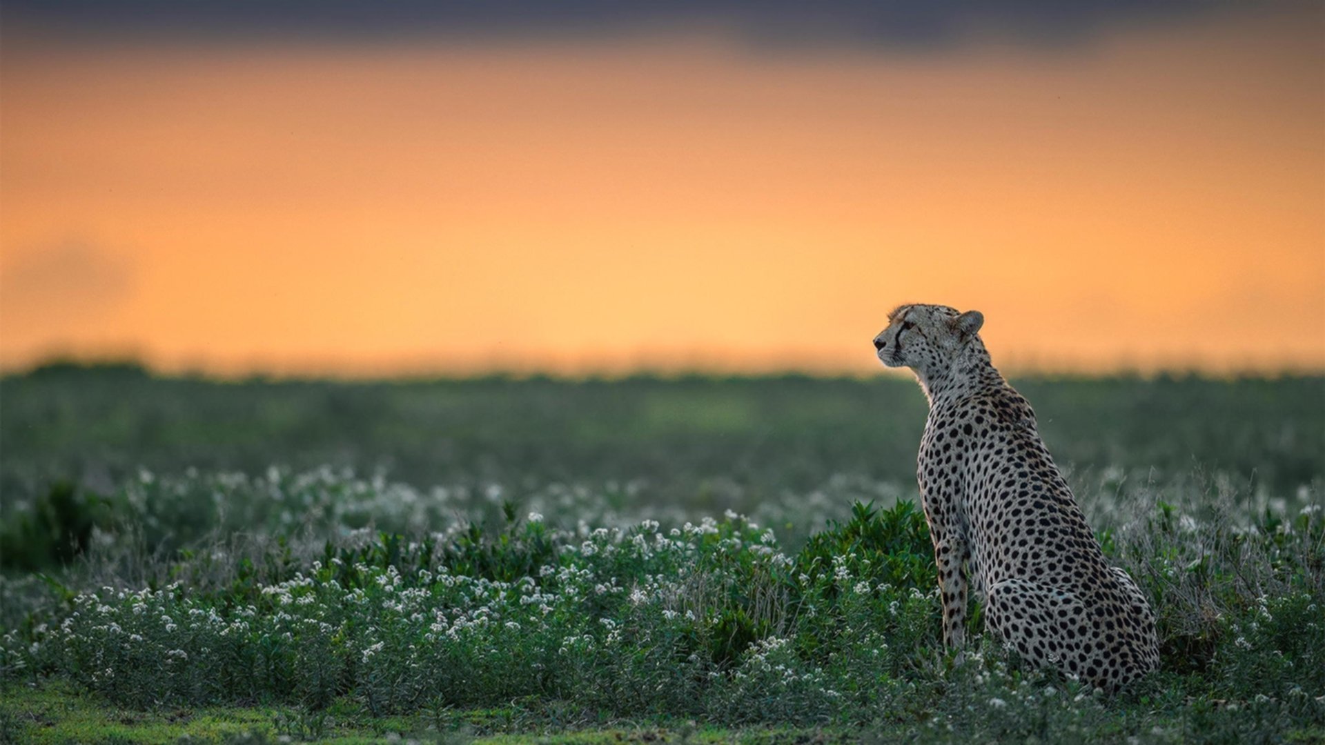 今年季后赛比赛最激烈的五场比赛都有哪些？，今年季后赛排名