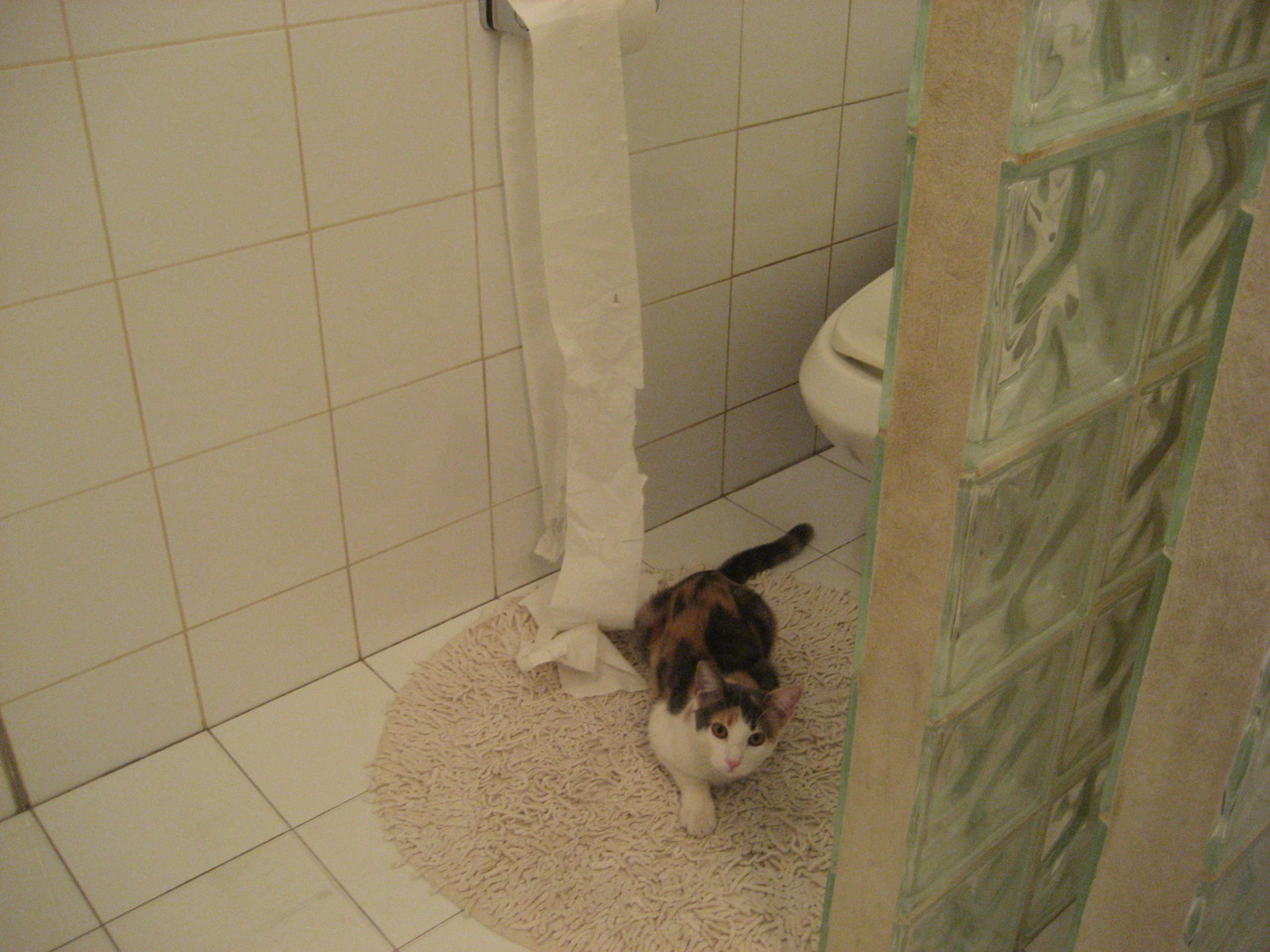 AIYOUXI.COM-_城市漂移车：速度与技巧的极限挑战_，城市漂移怎么过